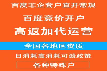 成功sem公司的策略与执行